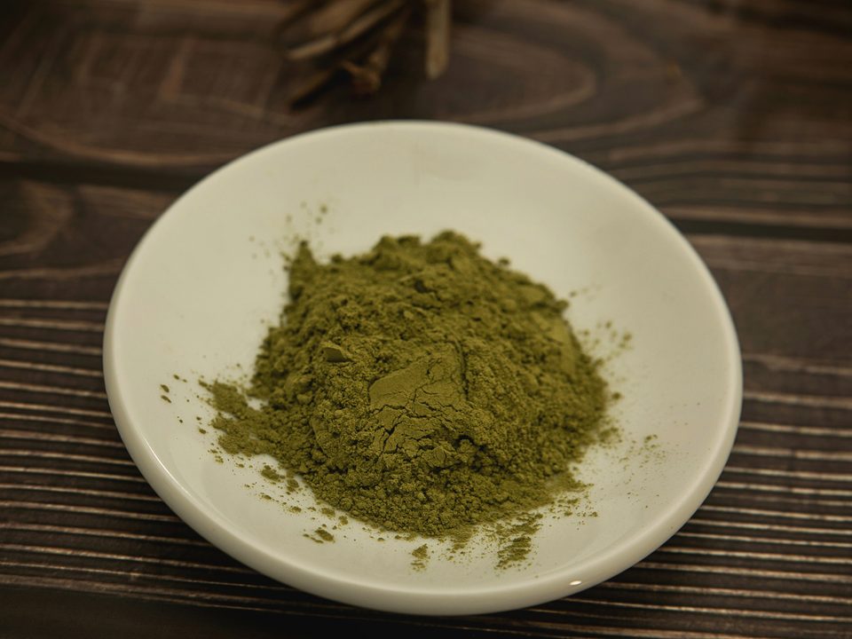 Bacopa monnieri extract, a green to greenish-brown powder in a pale dish