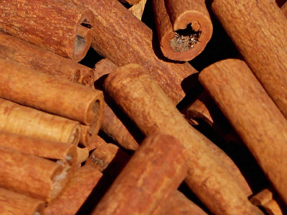 Bundled cinnamon quills, the dried inner bark of the cinnamon tree