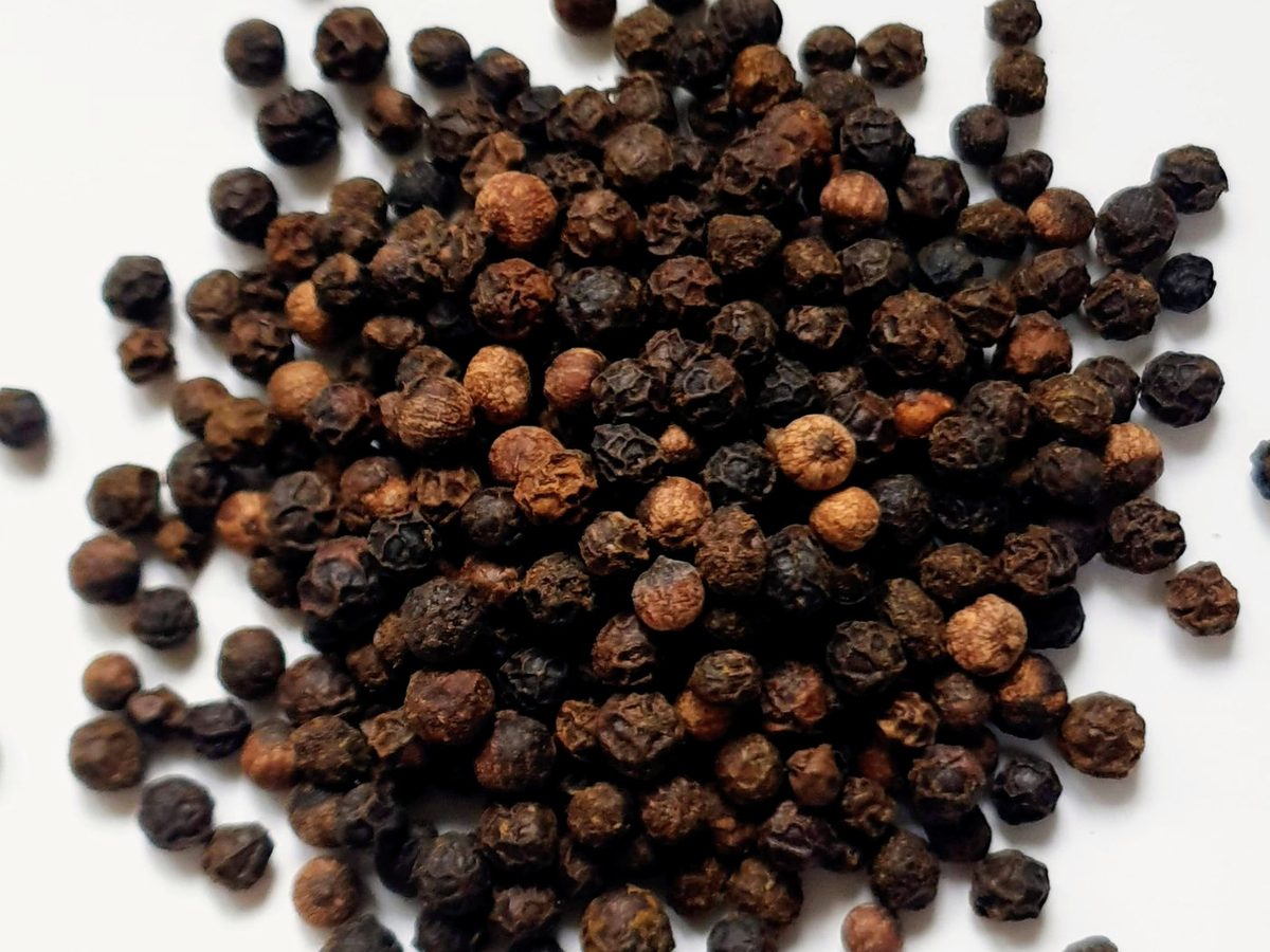 Dried black peppercorns, Piper nigrum, the raw material for piperine extract