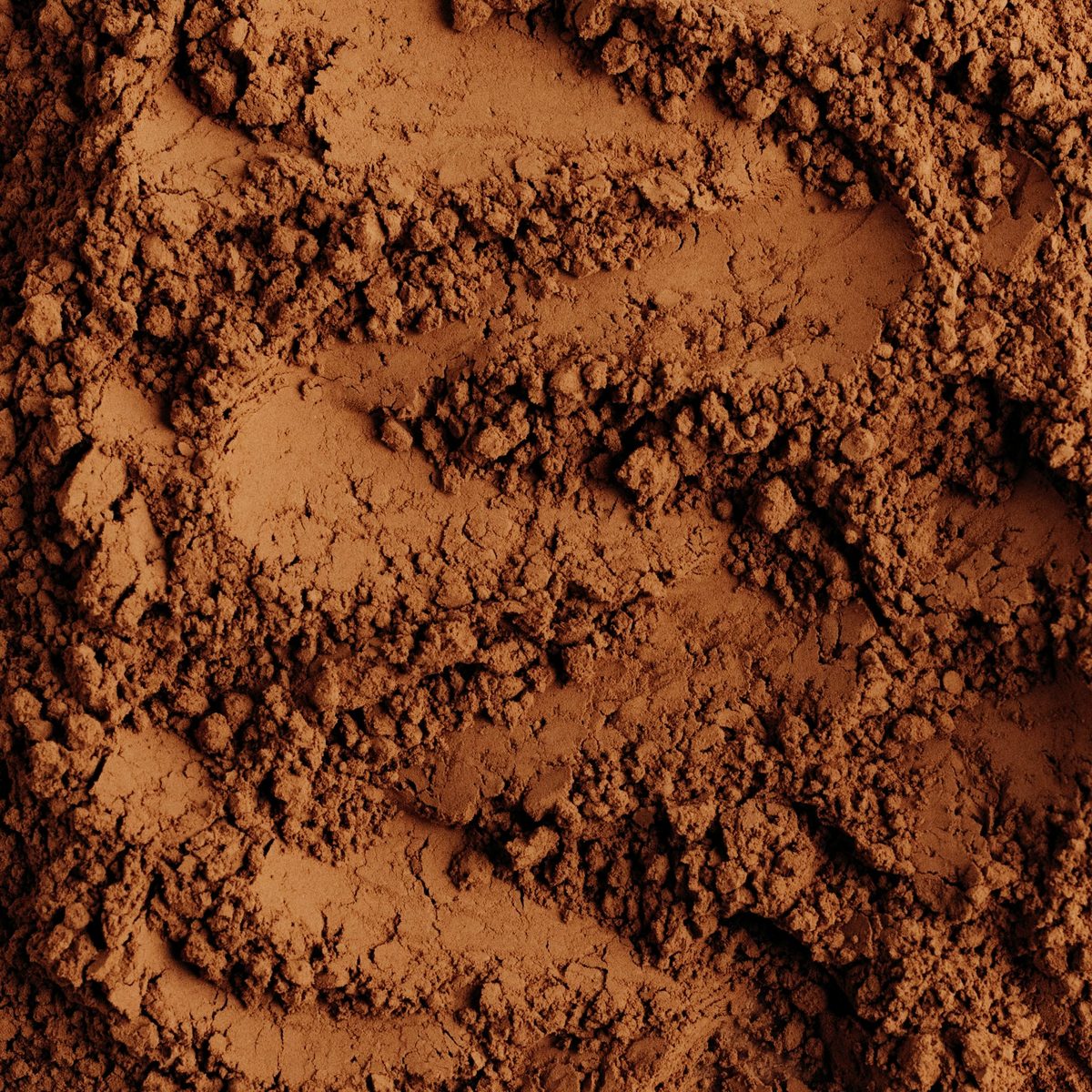 Shilajit extract, a fine brown powder, close up